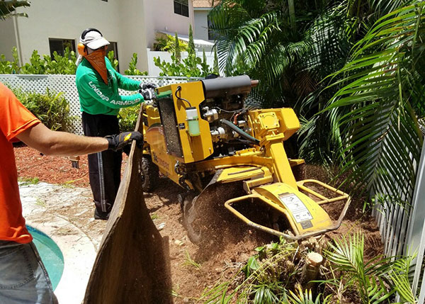 boca raton residential stump grinding services